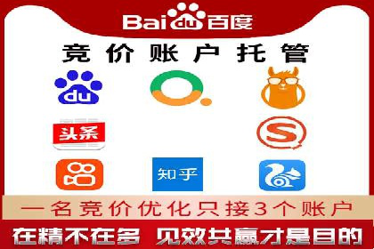 行业领先企业的网站sem托管实践